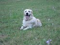 Moldova 2009 020